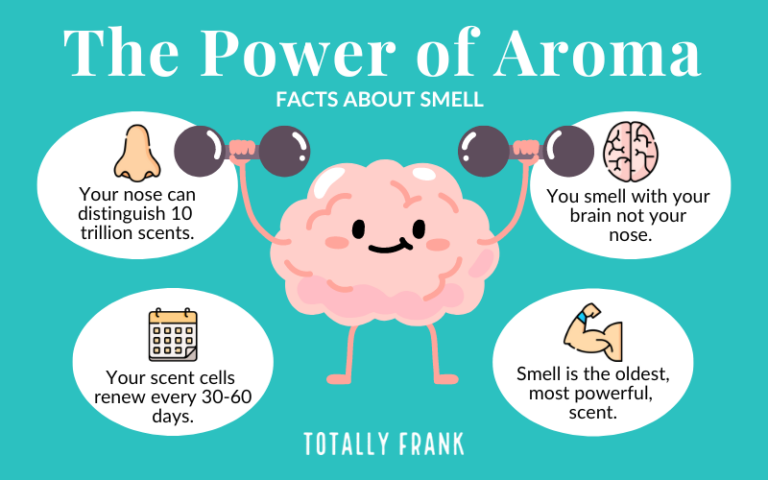 Illustration titled "The Power of Aroma: Facts About Smell" by Totally Frank. A smiling cartoon brain lifts dumbbells, symbolizing the strength of scent. Surrounding it are four facts about smell: "Your nose can distinguish 10 trillion scents," "You smell with your brain not your nose," "Your scent cells renew every 30-60 days," and "Smell is the oldest, most powerful sense."