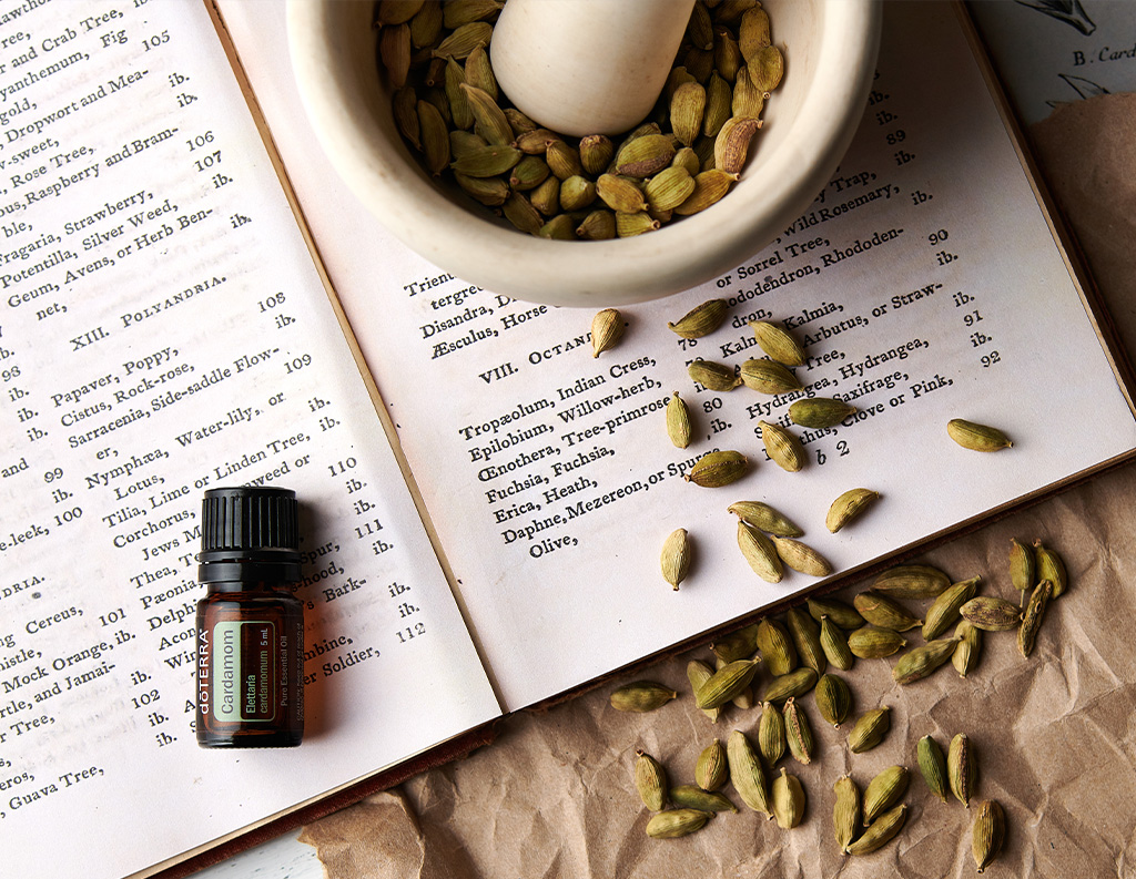 The image shows a bottle of dōTERRA Cardamom essential oil placed on an open book with scientific plant names and descriptions. Scattered cardamom pods and a mortar with cardamom are also visible. The scene evokes a natural and herbal theme, blending essential oils with traditional herbal knowledge.