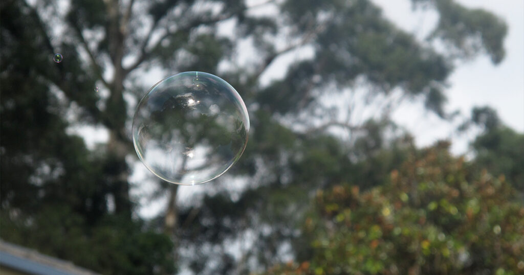The image captures a pair of soap bubbles floating in front of a backdrop of tall, dense trees with dark green foliage, set against a slightly overcast sky. The largest bubble in the foreground has a clear, reflective surface, while the smaller bubble above it shows subtle iridescent colors, creating a contrast between the delicate bubbles and the textured, natural background.