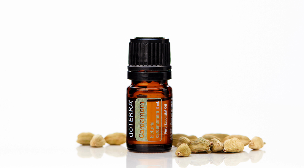 A doTERRA Cardamom essential oil bottle labeled Elettaria cardamomum is surrounded by whole dried cardamom pods on a clean white background. As a warm and spicy middle note, Cardamom fits into the 30-50-20 rule for blending essential oils, providing aromatic balance between bright top notes and grounding base notes.