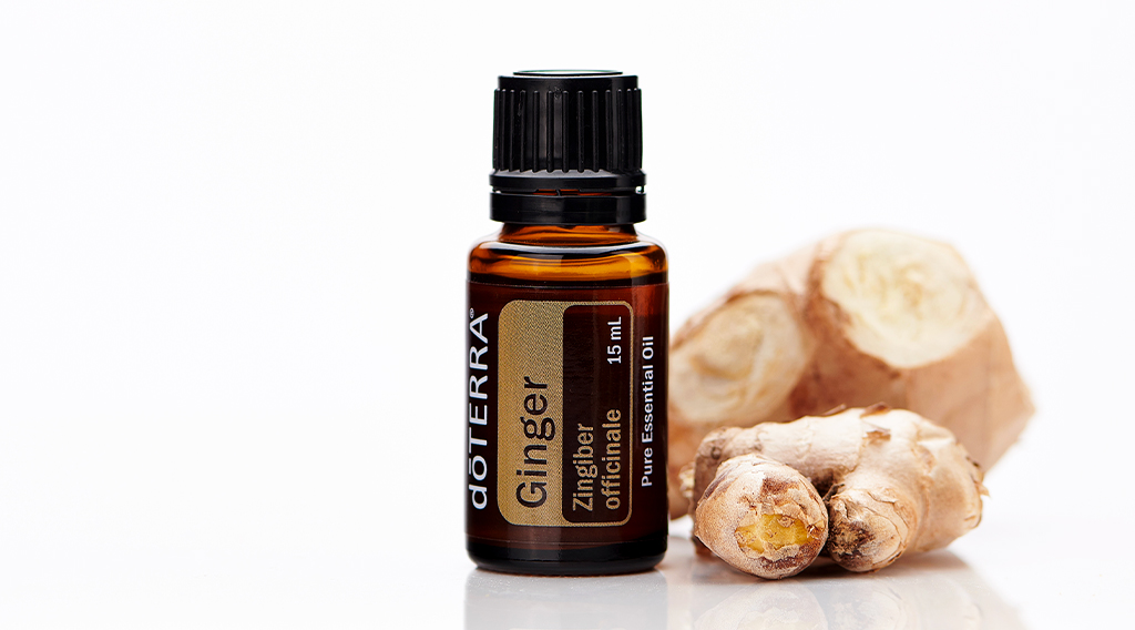 A bottle of doTERRA Ginger essential oil labeled Zingiber officinale stands beside fresh, sliced ginger root on a glossy white surface. As a warming, earthy base note, Ginger anchors essential oil blends and completes the 30-50-20 rule for crafting well-balanced aromatic combinations.