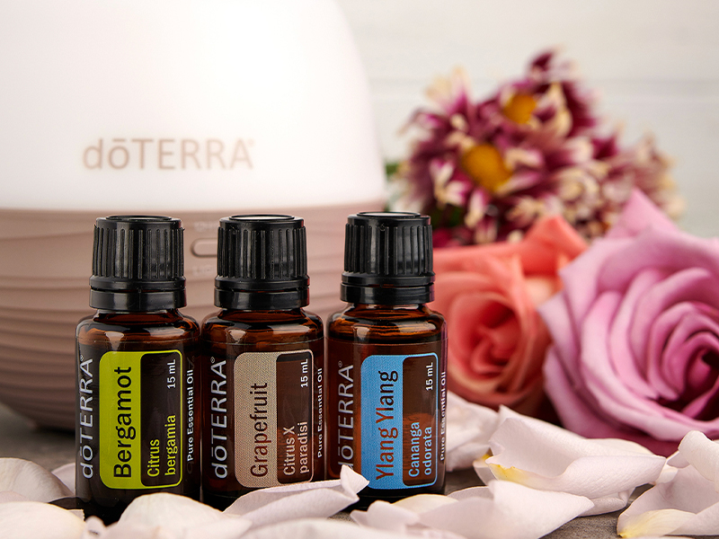 Three doTERRA essential oil bottles labeled Bergamot, Grapefruit, and Ylang Ylang are arranged in front of a diffuser, surrounded by soft rose petals and fresh blooms. This image visually represents the Bright & Balanced diffuser blend, a gentle and uplifting combination perfect for calm mornings and emotional resets.