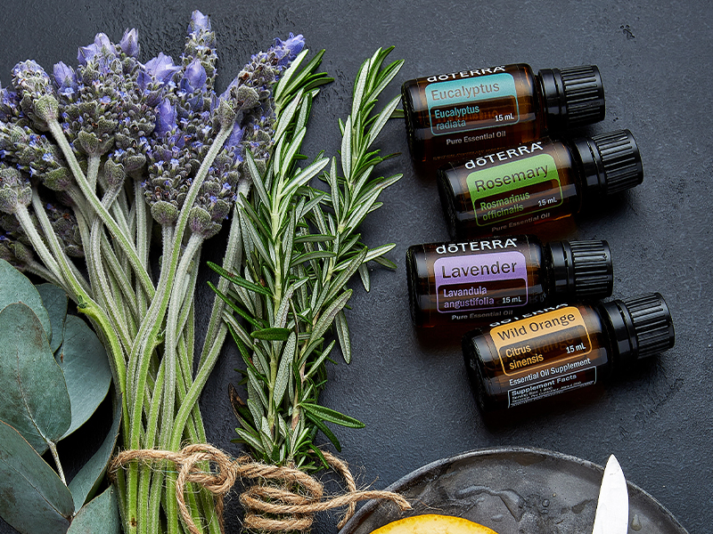 A flat lay of fresh eucalyptus, rosemary, and lavender sprigs tied with twine beside a halved orange and four doTERRA essential oil bottles labeled Eucalyptus, Rosemary, Lavender, and Wild Orange. Set on a dark slate surface with a small knife and plate, this image represents ingredients used in the Steady Focus diffuser blend, designed to support calm and concentrated energy.
