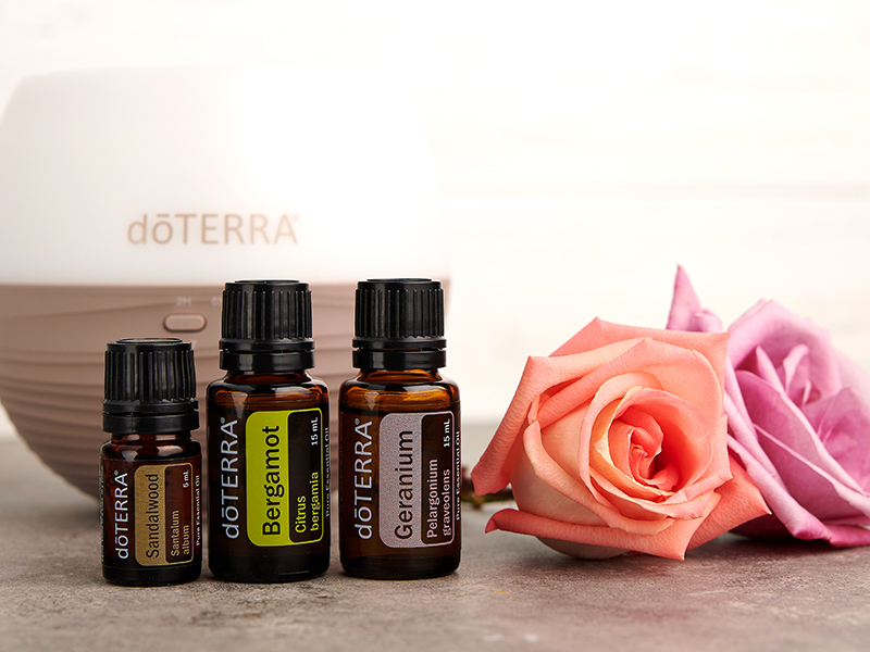 Three doTERRA essential oil bottles - Sandalwood, Bergamot, and Geranium - are arranged in front of a diffuser, with pink and purple roses nearby on a smooth surface. This image visually represents core elements of essential oils 101, showcasing floral and citrus oils commonly used in aromatherapy.