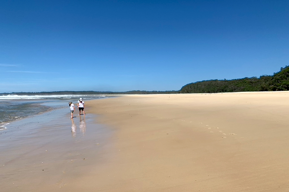 Two boys walk barefoot along an empty beach under a clear blue sky, with gentle waves lapping at the shore and dense green forest in the distance. The peaceful setting suggests a flexible, nature-connected lifestyle, often valued in homeschooling for children with autism.