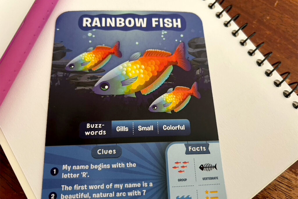 Rainbow Fish card from the Guess in 10 Underwater Animals game on a spiral notebook, showing three colorful fish underwater and the title RAINBOW FISH. The card includes buzzwords gills small colorful plus Clues and Facts sections for a quick homeschooling style guessing activity.