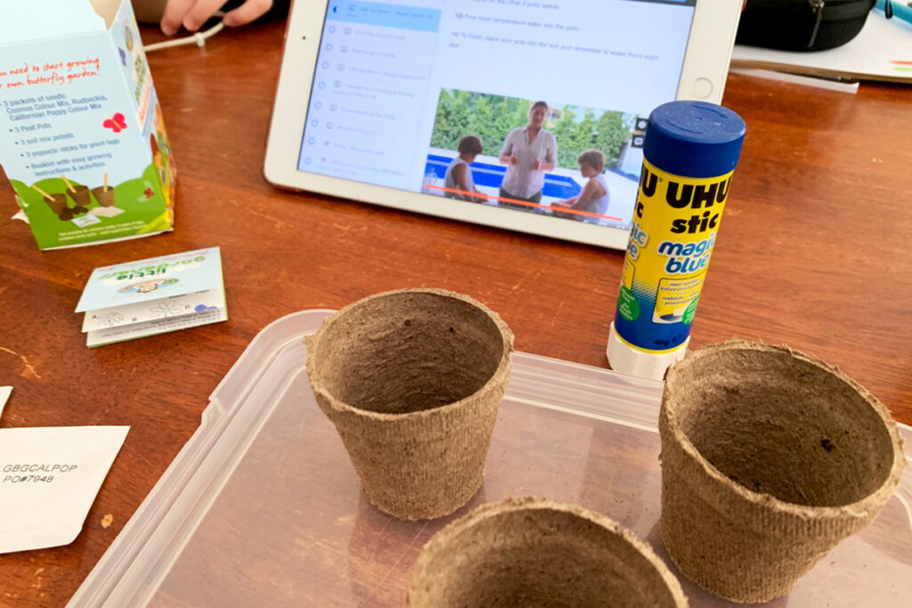Three small peat pots sit on a clear plastic tray on a wooden table beside a UHU glue stick and seed packet. In the background a tablet plays a homeschool lesson video, suggesting a hands on activity for homeschool learning styles.