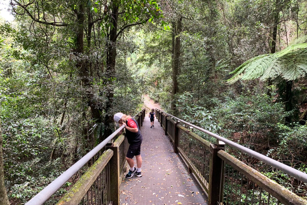 Two children stand on a narrow boardwalk with railings, surrounded by dense green forest and tall ferns. One child leans over the side to look down while the other walks ahead on the trail, capturing a quiet outdoor moment that fits how homeschooling is hard and sometimes needs a reset in nature.