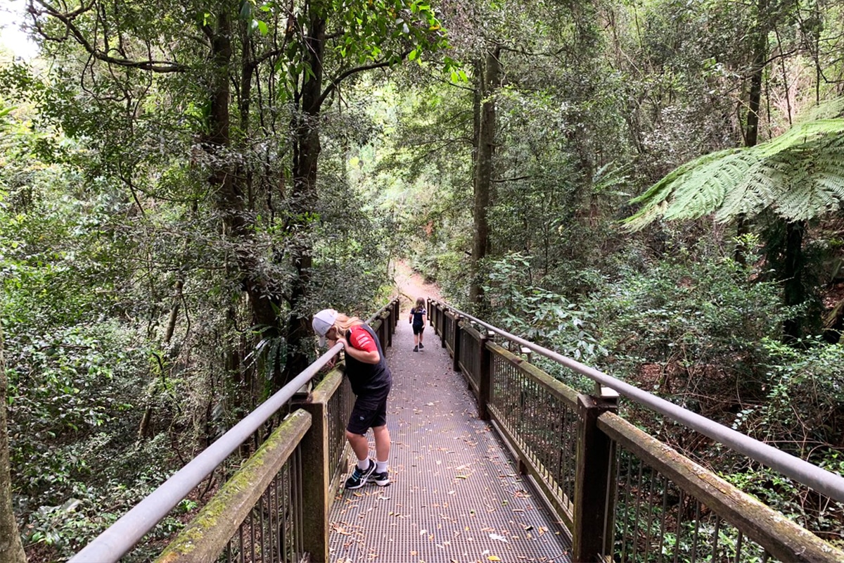 Two children stand on a narrow boardwalk with railings, surrounded by dense green forest and tall ferns. One child leans over the side to look down while the other walks ahead on the trail, capturing a quiet outdoor moment that fits is homeschooling hard and sometimes needs a reset in nature.